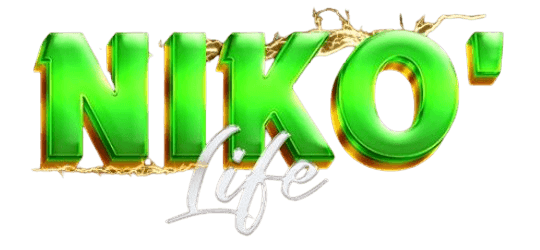 NIKO' Life